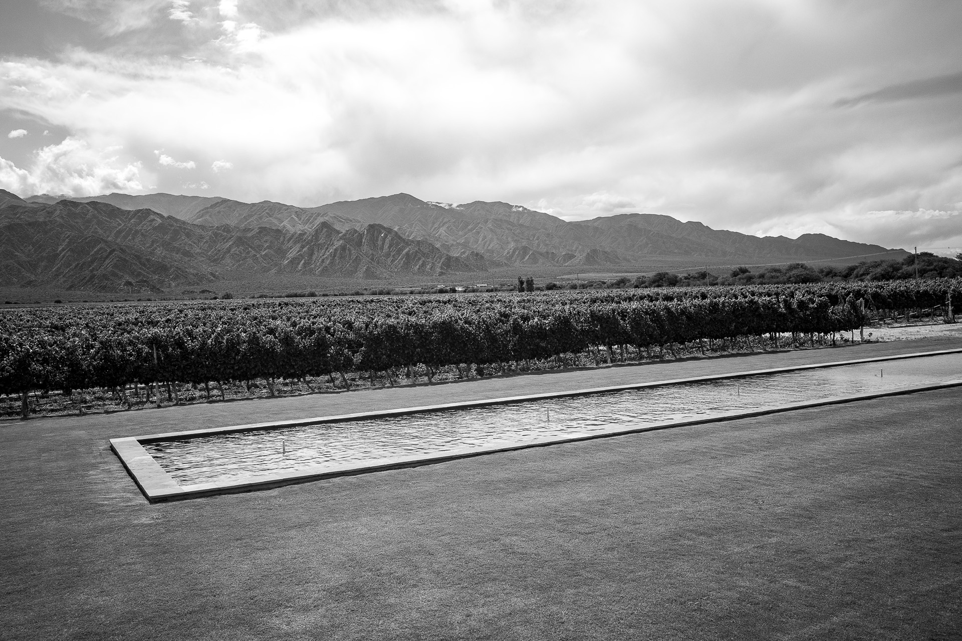 South African winery