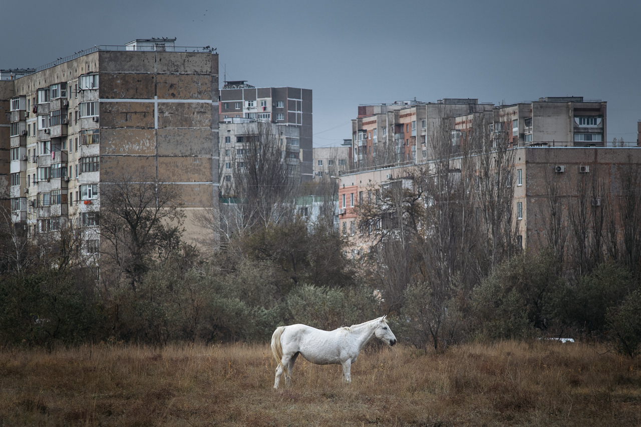 Атомная лошадь