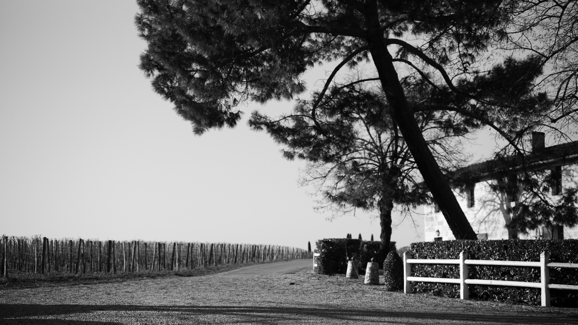 Bordeaux winery