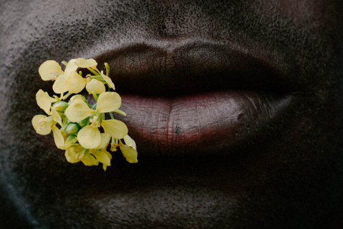Lips
